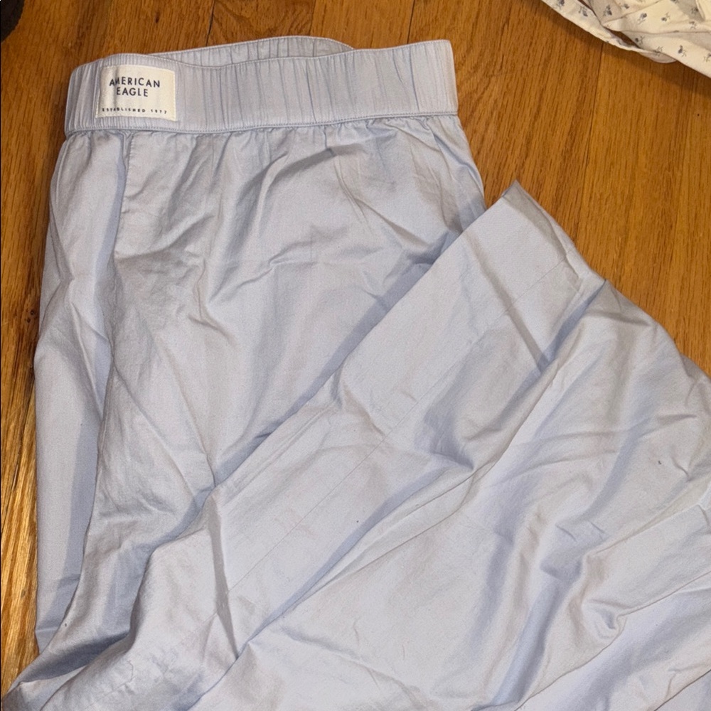 American Eagle Outfitters Men's Light Blue Pants